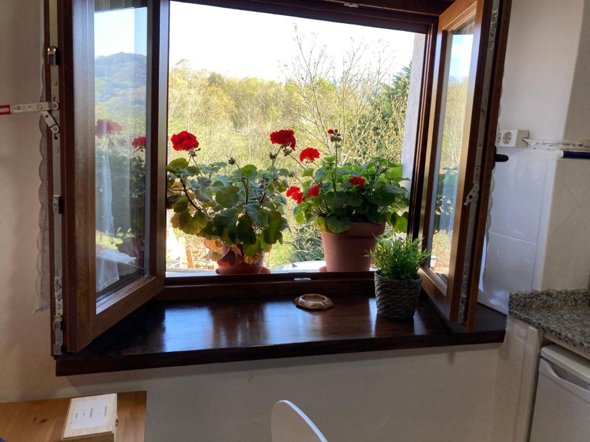 Casa Elena Cangas De Onis Con Wifi Y Parking Gratuito Buitenkant foto