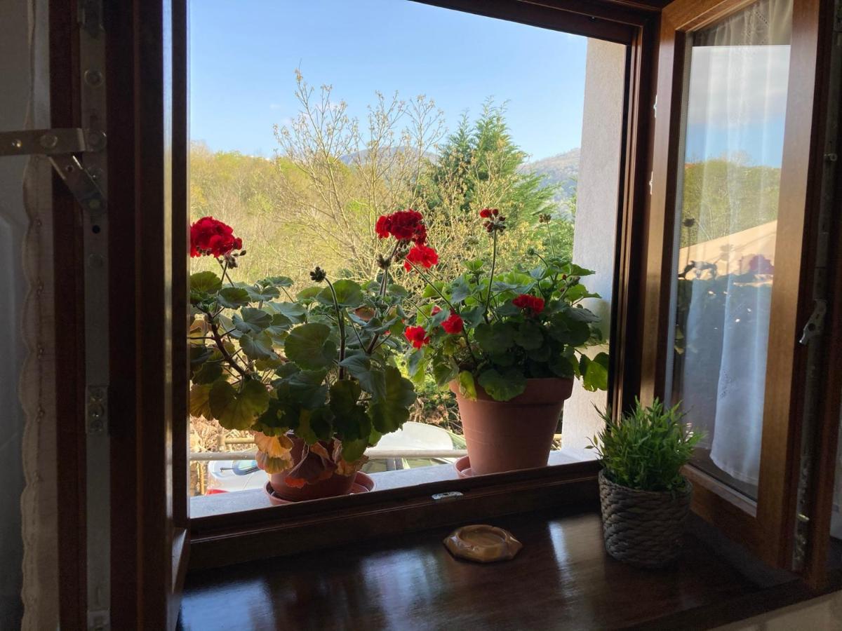 Casa Elena Cangas De Onis Con Wifi Y Parking Gratuito Buitenkant foto