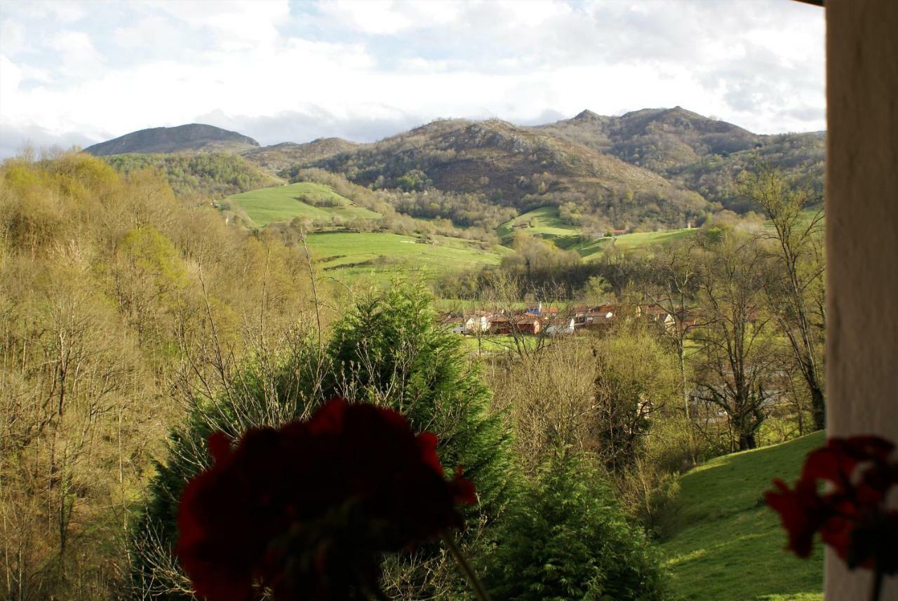 Casa Elena Cangas De Onis Con Wifi Y Parking Gratuito Buitenkant foto