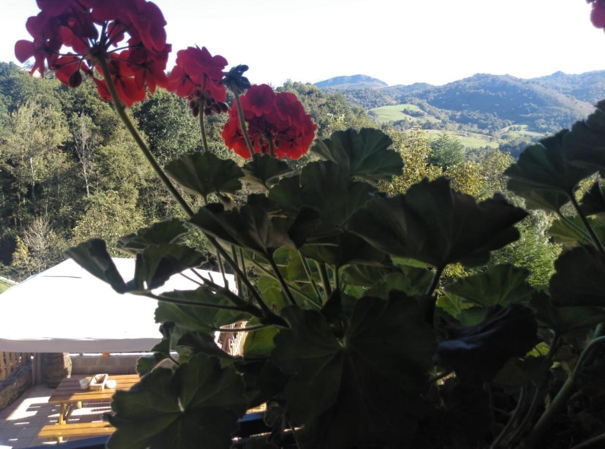 Casa Elena Cangas De Onis Con Wifi Y Parking Gratuito Buitenkant foto